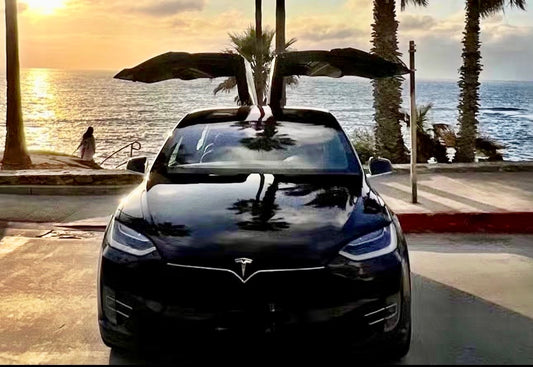 2024 Tesla Model X - CA